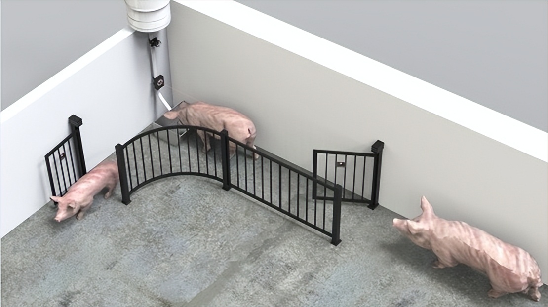 喜报获得金奖,喜报省特等奖