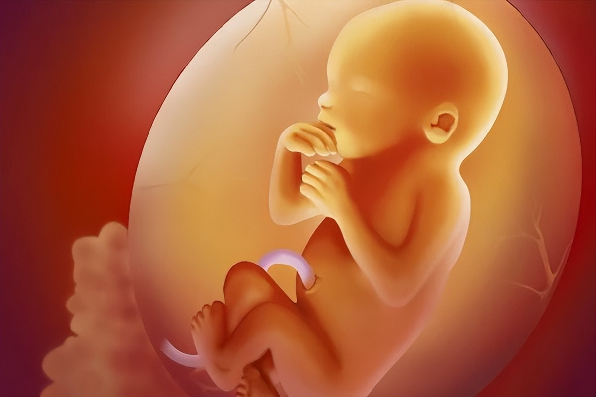 胎儿在母亲肚子里会排便吗,胎儿在妈妈肚子里是怎么排泄的