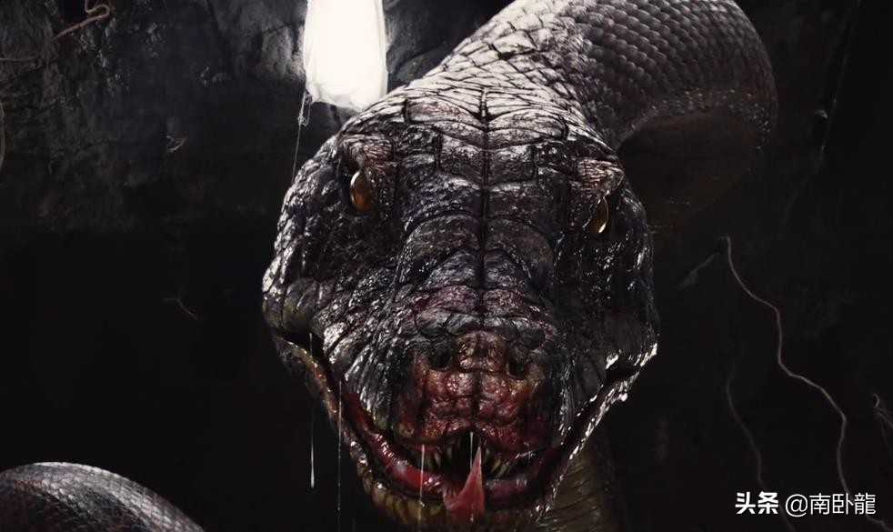 巨蛇闯女校现场拍摄花絮,巨蛇闯女校原声剪辑