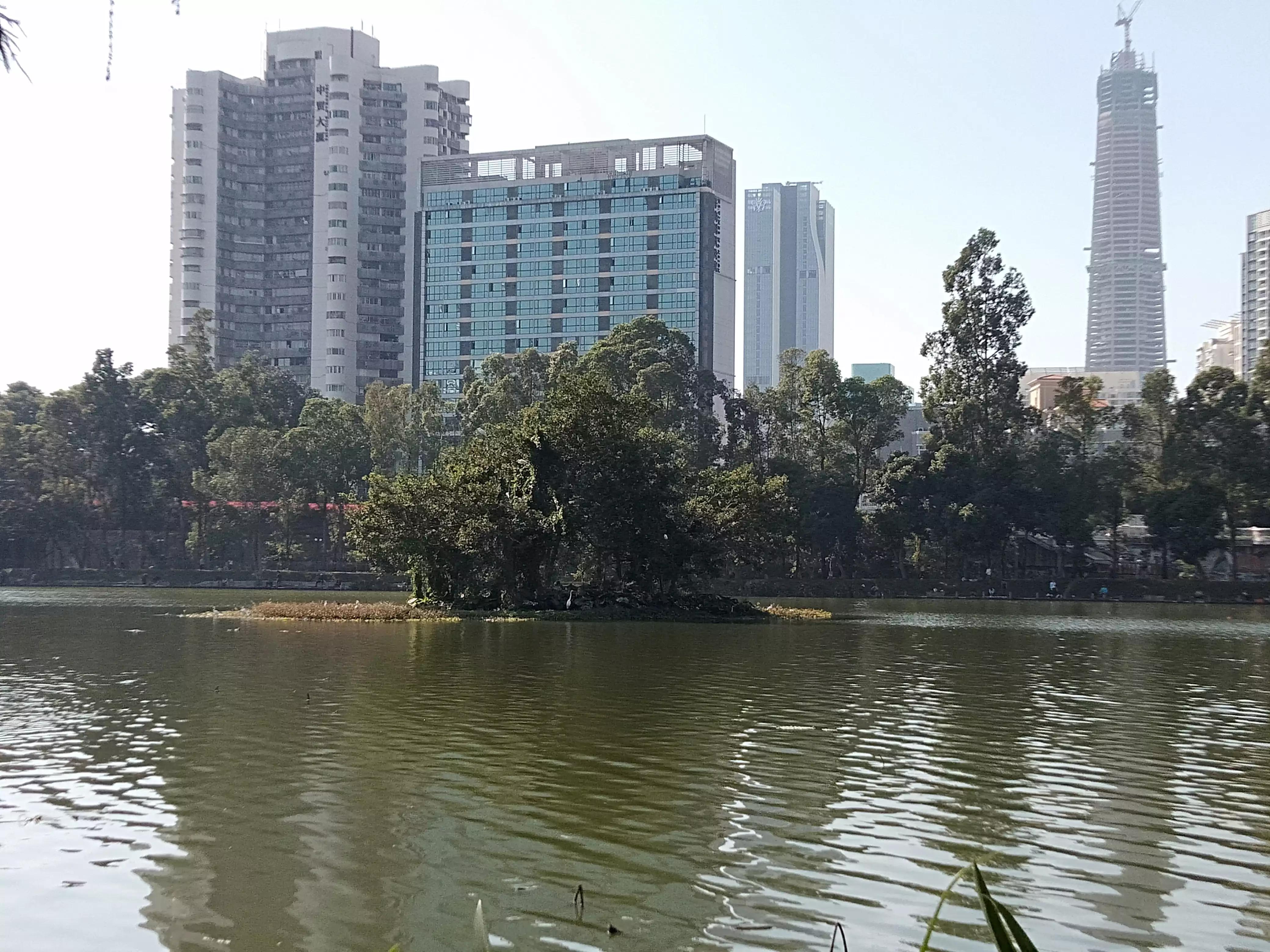 深圳洪湖公园冬季景色,冬天的洪湖公园