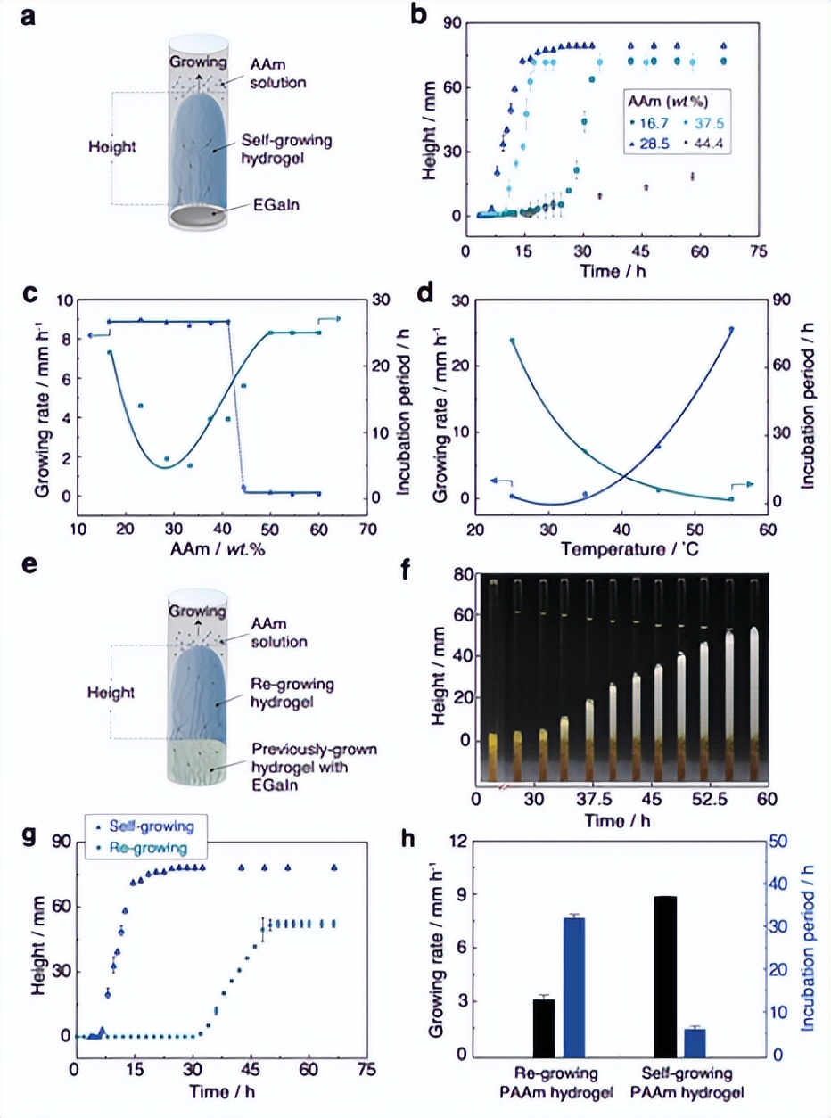 advmater怎么样,adv水凝胶效果怎么样