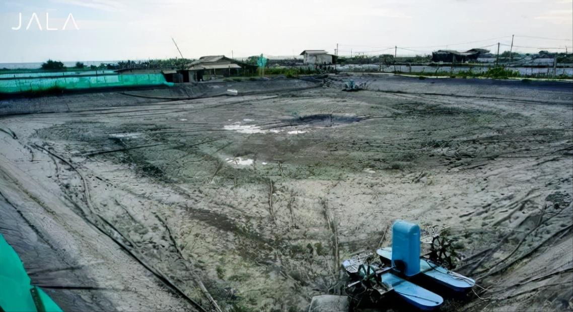 石灰，是养殖户的“利器”！如何高效使用你必须了解这些关键点