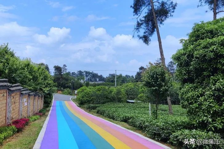 创建文明乡村,创建美丽乡村的标准是什么