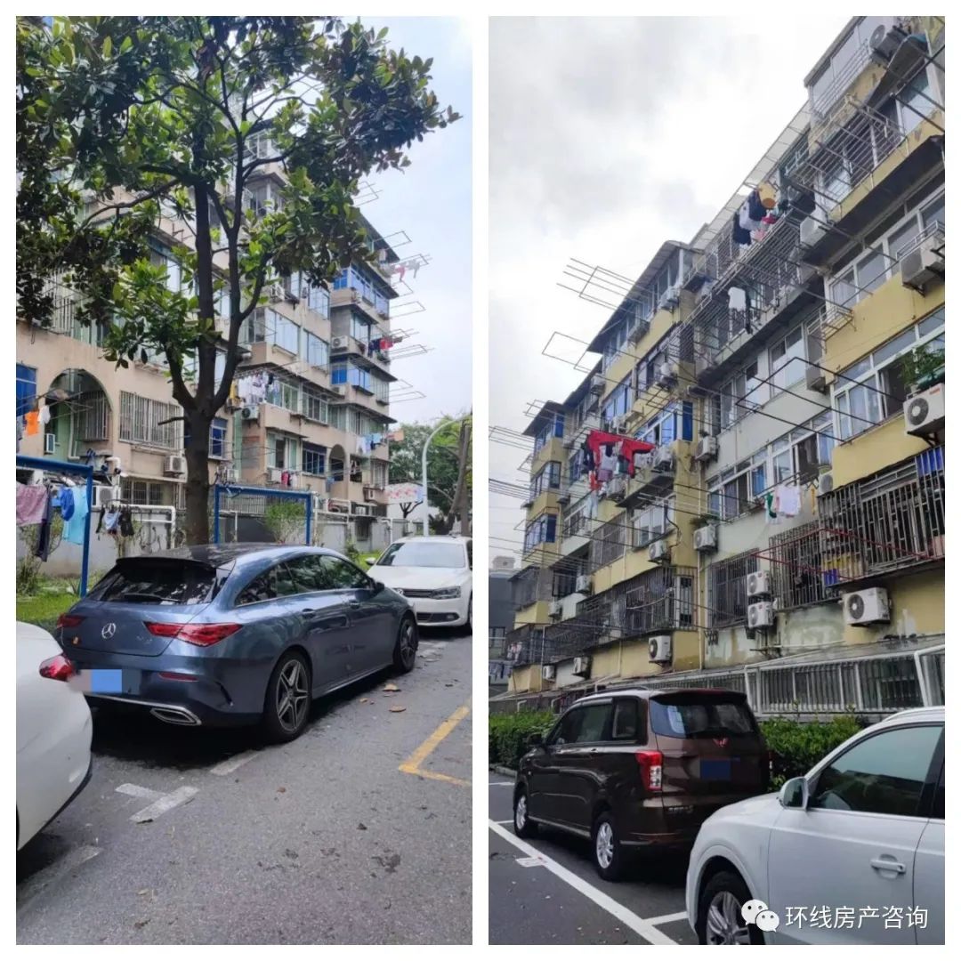 浦东金杨：一代刚需王者的陨落