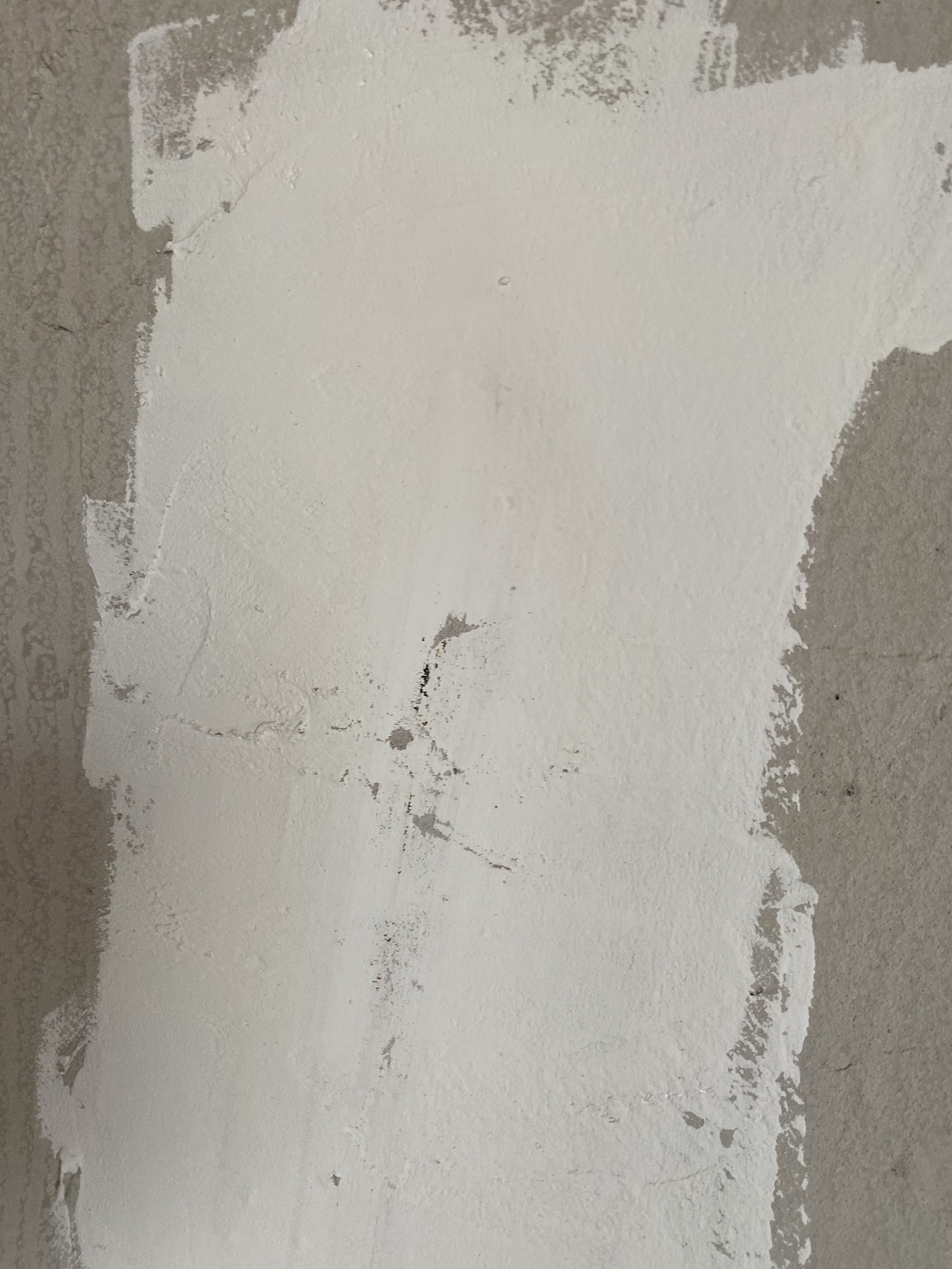 2021最流行什么牌子乳胶漆,2023年乳胶漆十大排行榜