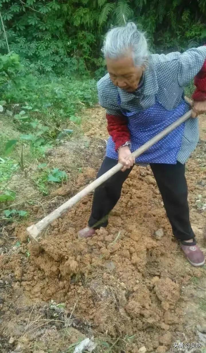 95后女孩外出打两份工,95后女生打四份工全年无休抖音