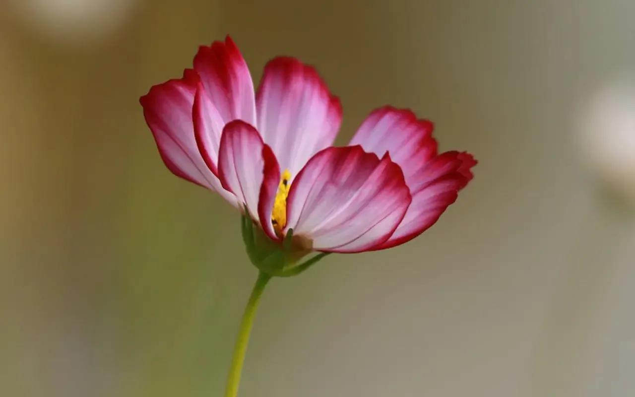 人到中年真正有城府的人,人到中年为人处世时有个最大忌讳