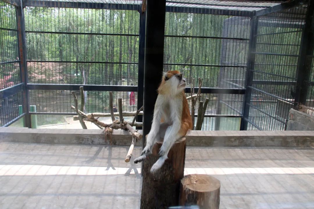 淮安动物园位置,淮安动物园多大面积