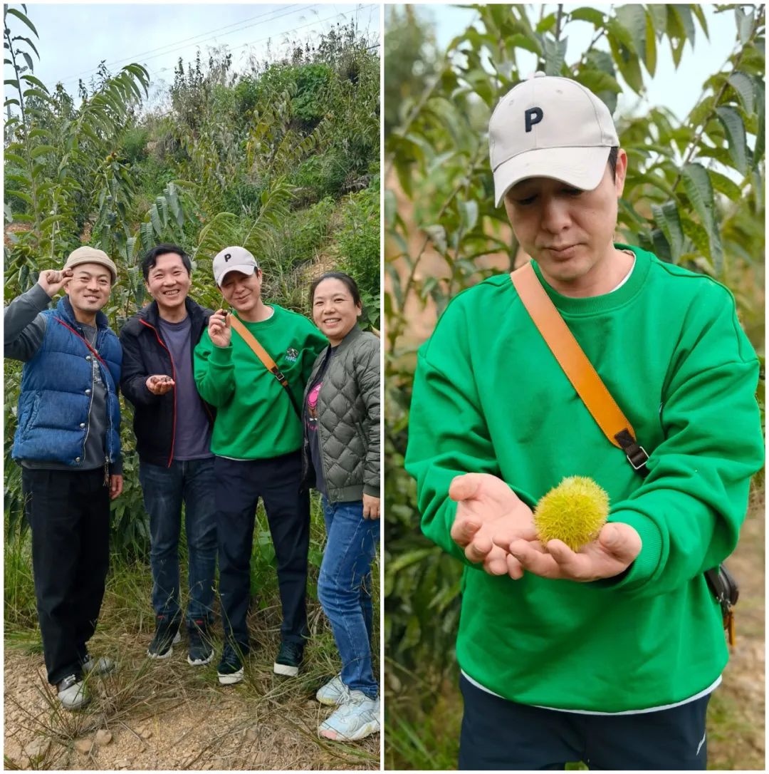 严查春节档电影互撕,春节档电影互撕