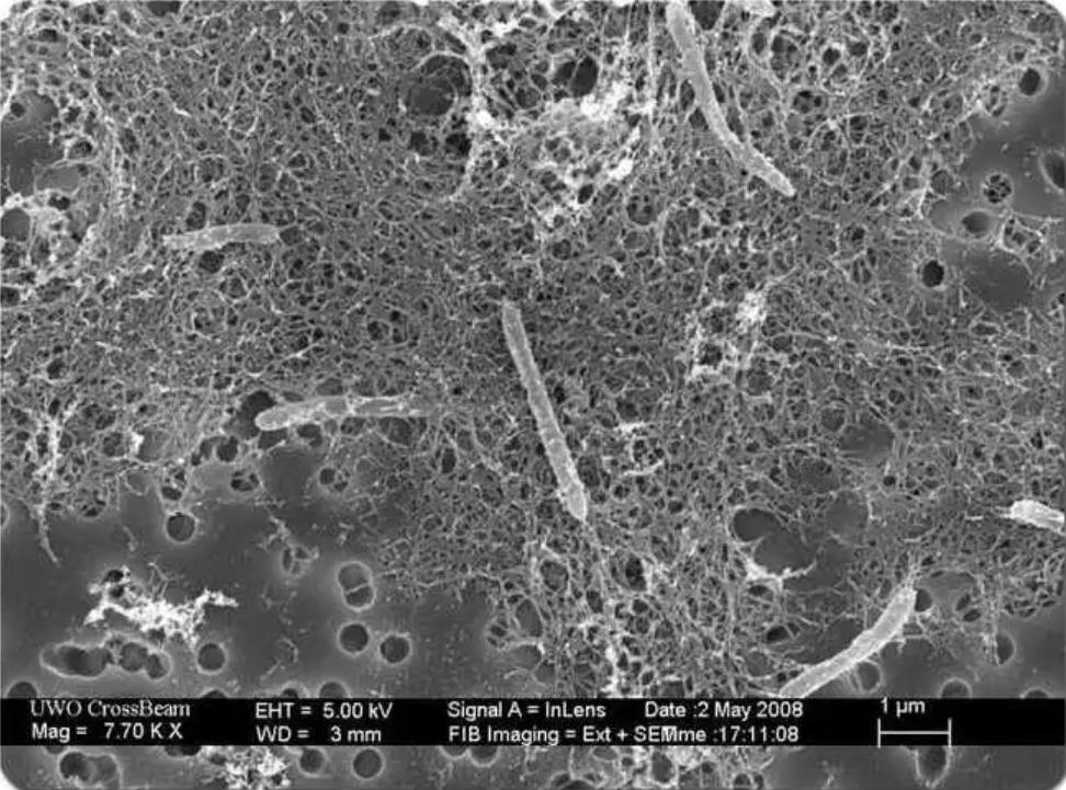 三千公里直径却有比地球更大海洋，欧罗巴一号看到的生物是真的？