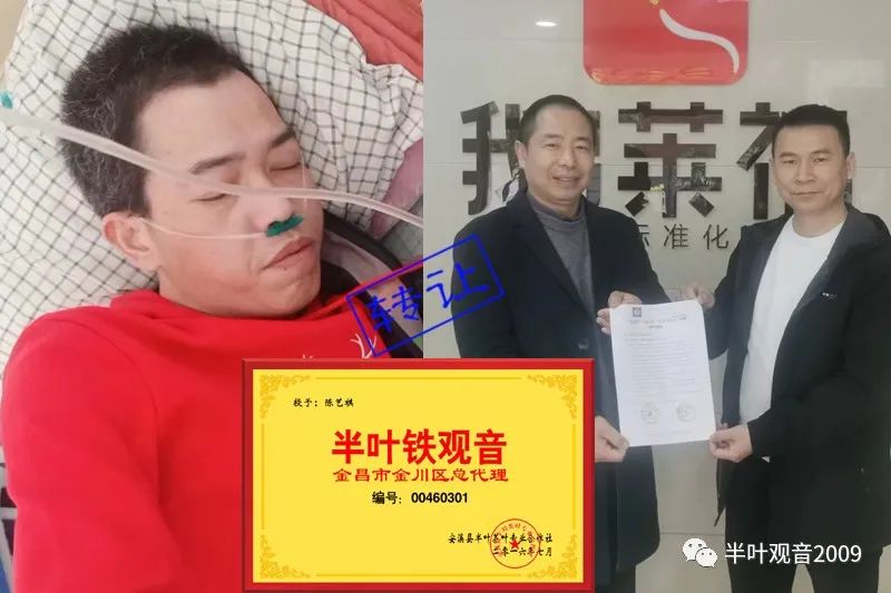 鹅莱福冷安钟出价2千收购半叶茶金川区代理权，陈艺棋分享转1千