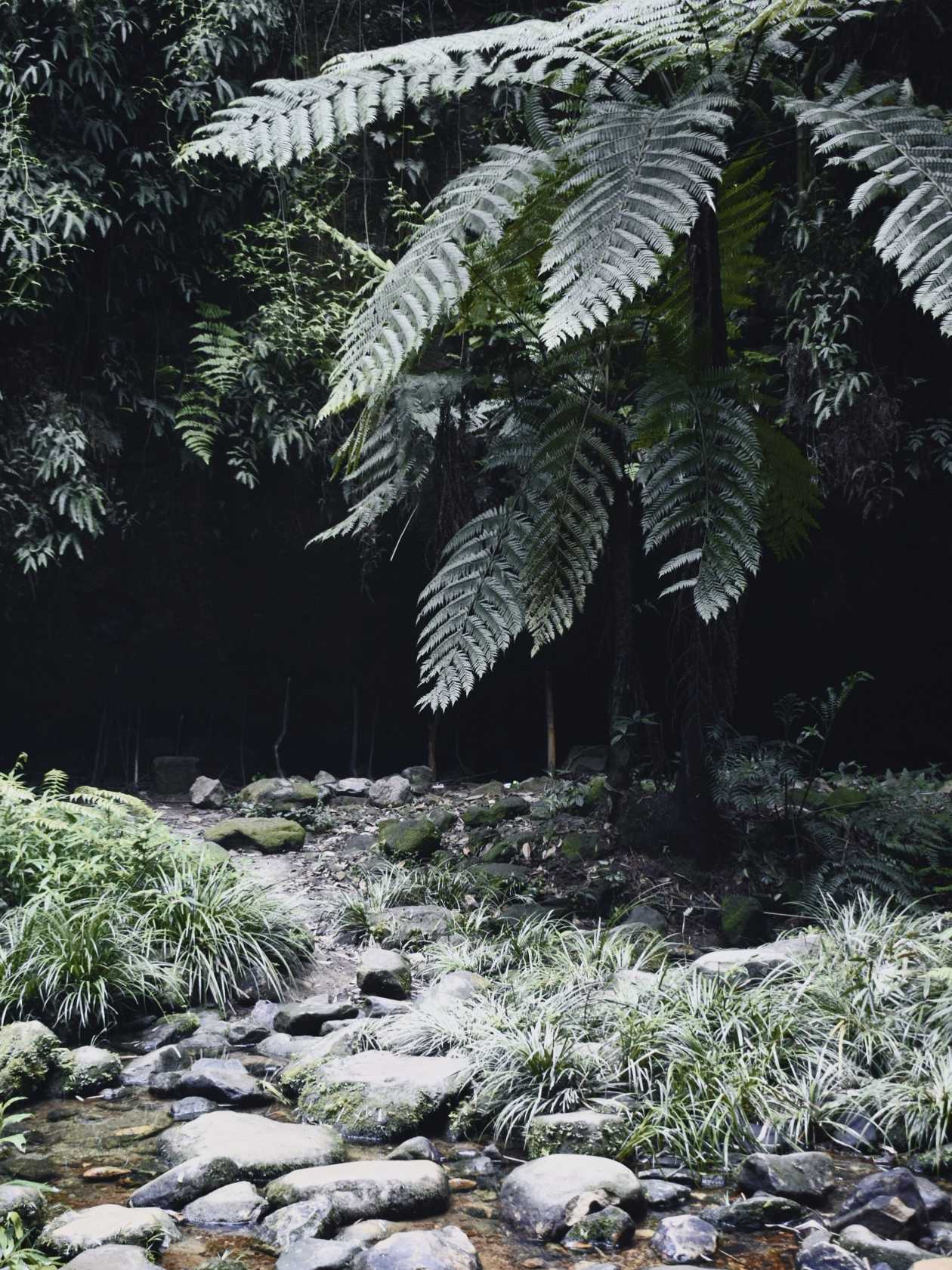 乐山异国风情打卡新去处,乐山游玩攻略及人文风情