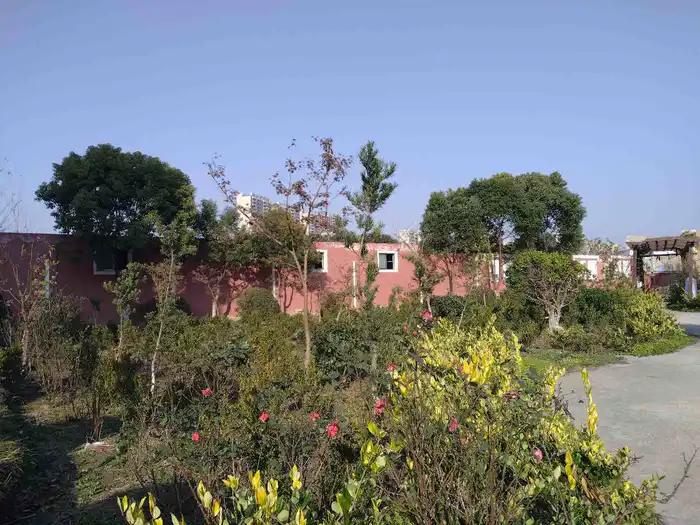 画与景,幼儿长卷画景