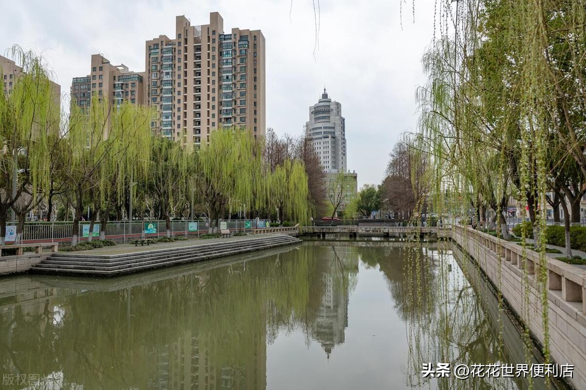 青浦城区和青浦新城板块有啥区别,上海五大新城青浦前景最好
