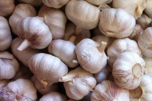 高血压天敌,高血压的天敌决明子