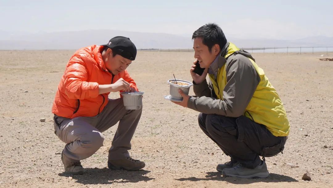 我国海拔最高的输变电工程,世界海拔最高的输变电工程