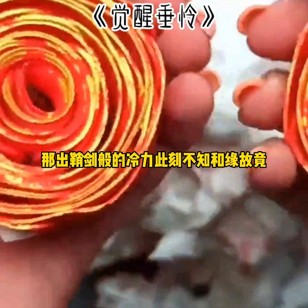 小说大全免费,小说孽缘