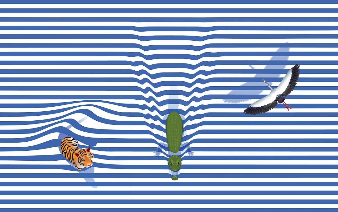 百岁山矿泉水有几个包装,百岁山矿泉水瓶子设计理念