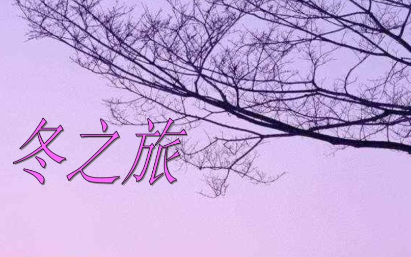 舒伯特冬之旅纯音乐,舒伯特冬之旅是艺术歌曲还是歌剧