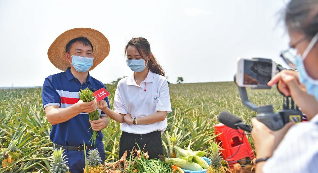 从心理学角度探索情绪,从心理学的角度看待欲望
