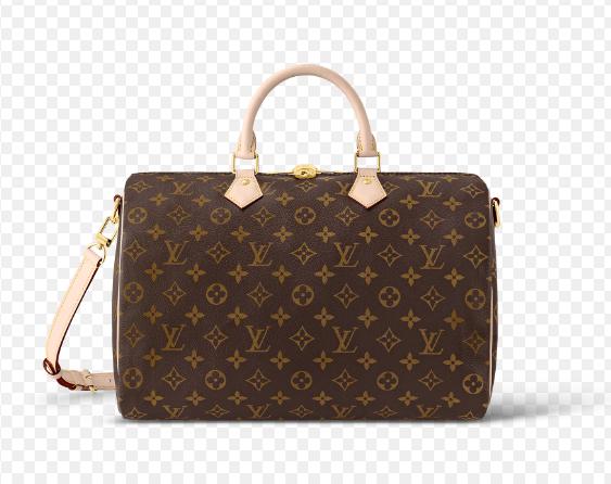 2021年国内女包十大品牌排名,女包品牌十大排名奢侈品