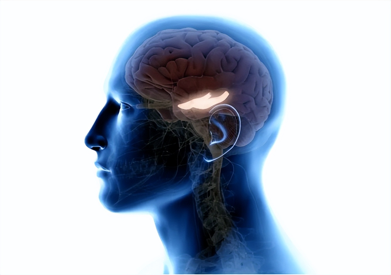 脑科学博士让孩子成为学霸很简单,脑科学博士教睡眠