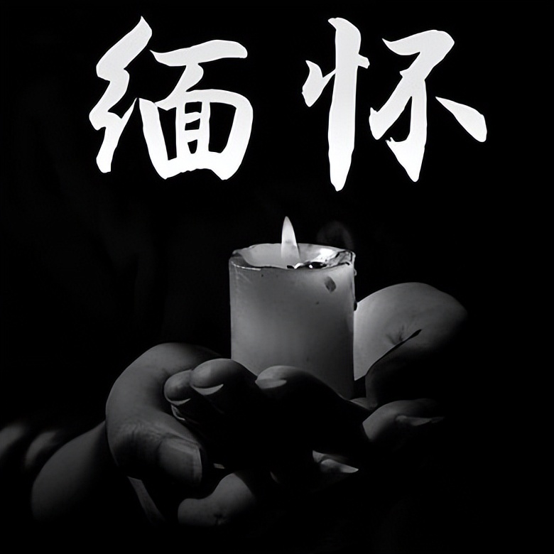 我的母亲并不伟大语录,我的母亲不爱我