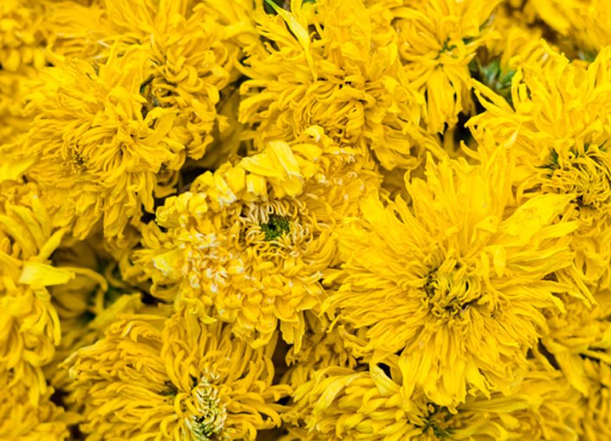 红茶和绿茶哪个茶好喝一点,绿茶和红茶茶叶推荐哪个比较好喝