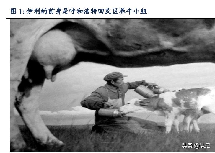 乳制品行业之伊利股份研究报告:王者荣耀,行稳致远