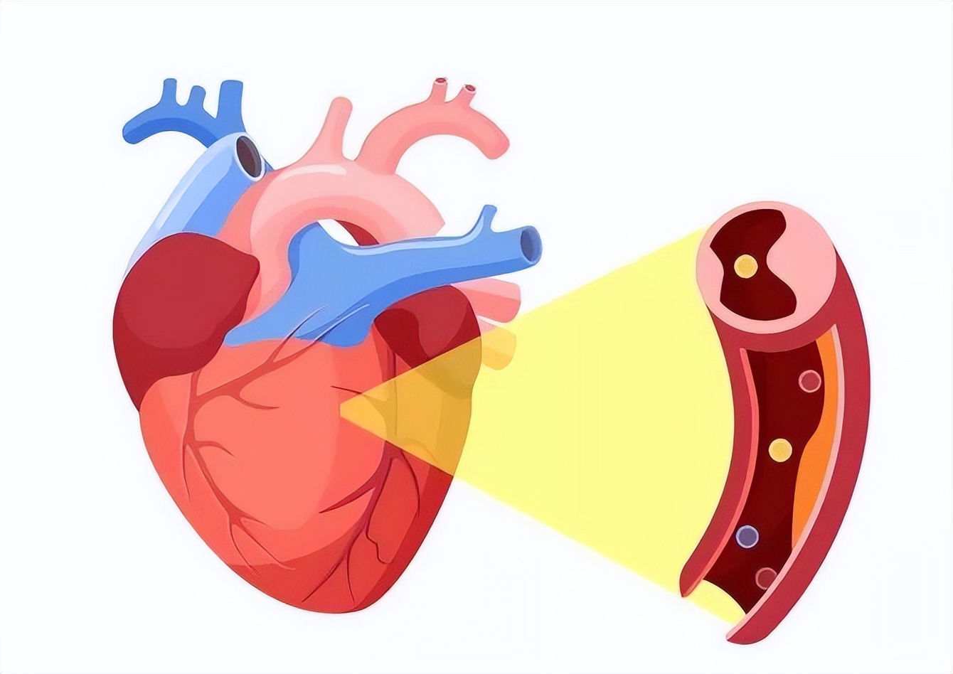 让男人阳衰的食物,男人抗衰小妙招