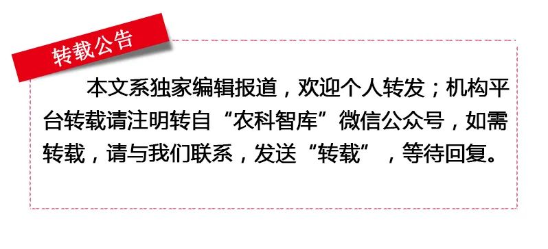 鍐滅鏅哄簱鍘熷垱鎶ュ憡,鍐滅鏅哄簱