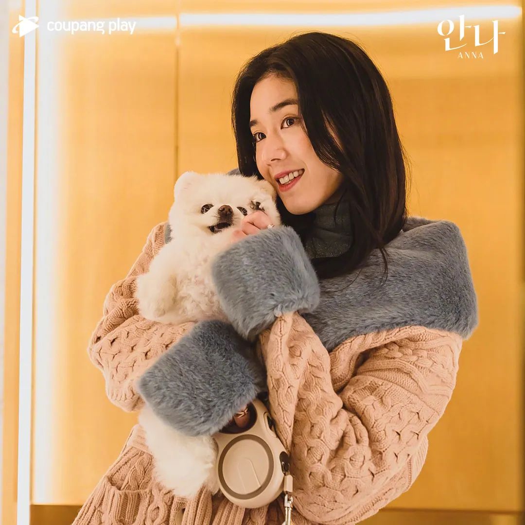 怎样分辨真安娜和假安娜,真假安娜韩剧在哪看