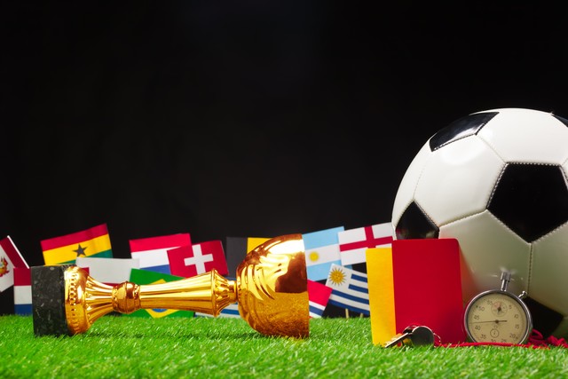 看世界杯有感600字,看世界杯感想100字