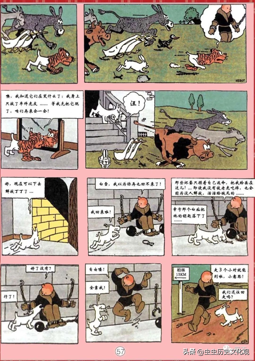 丁丁历险记的丁丁是真的吗,丁丁历险记的丁丁是哪国的