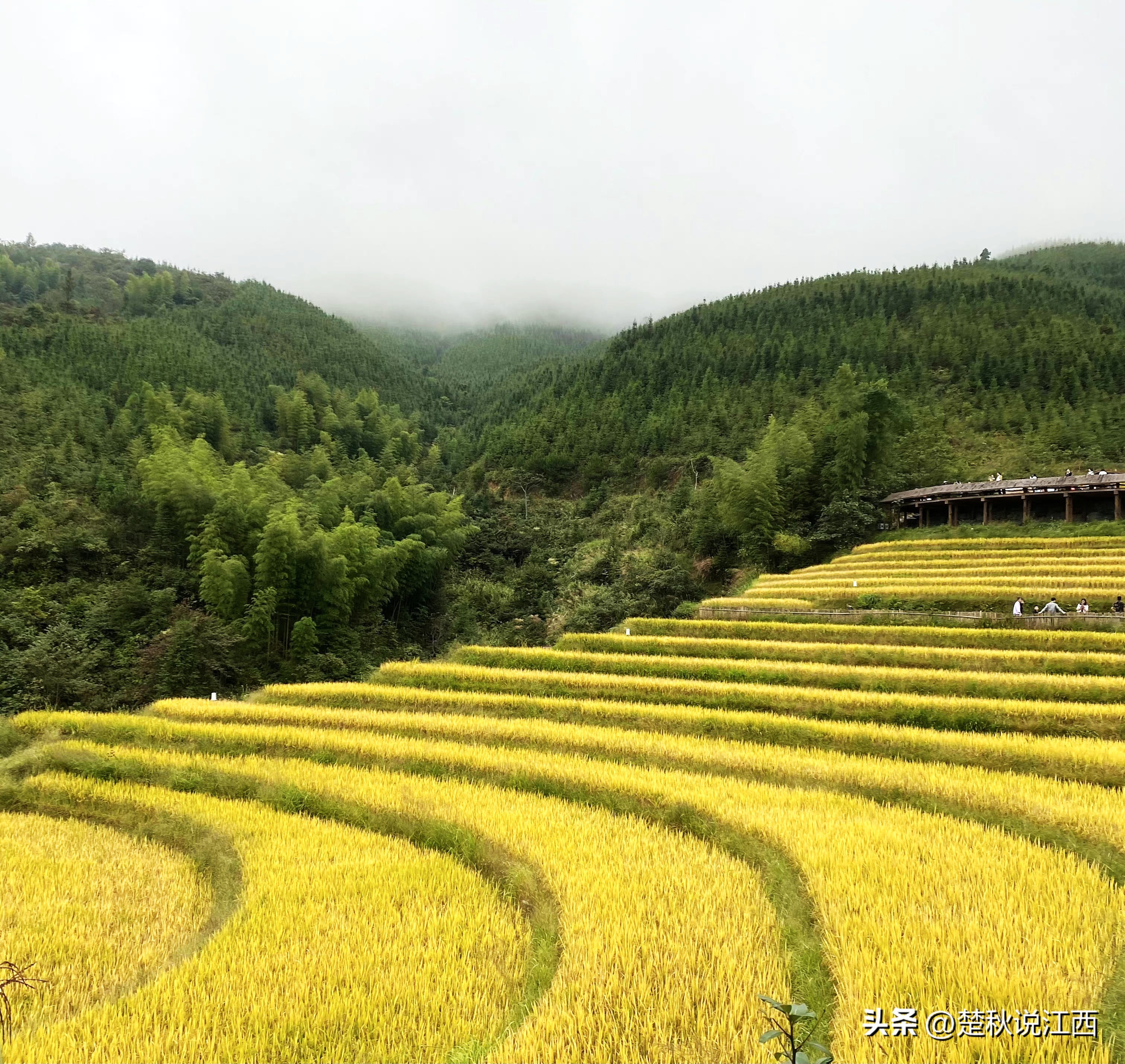 江西有哪些梯田风景区,江西梯田排名前十的梯田