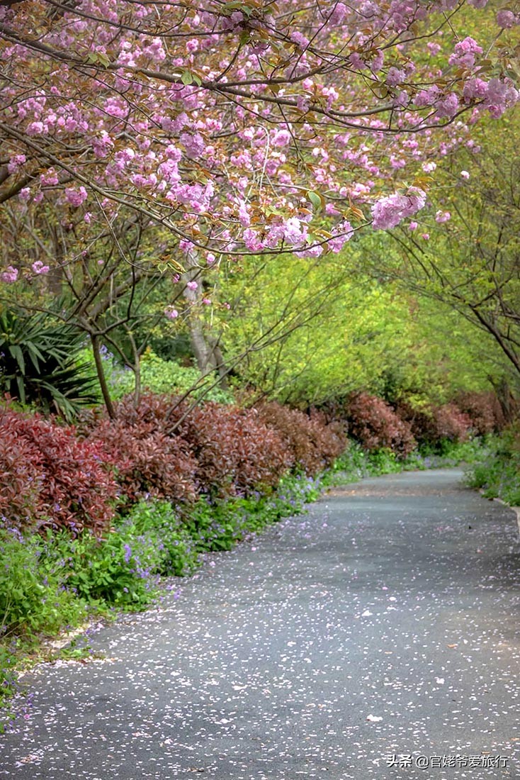 武汉黄陂茶谷风景区,武汉市黄陂区后花园