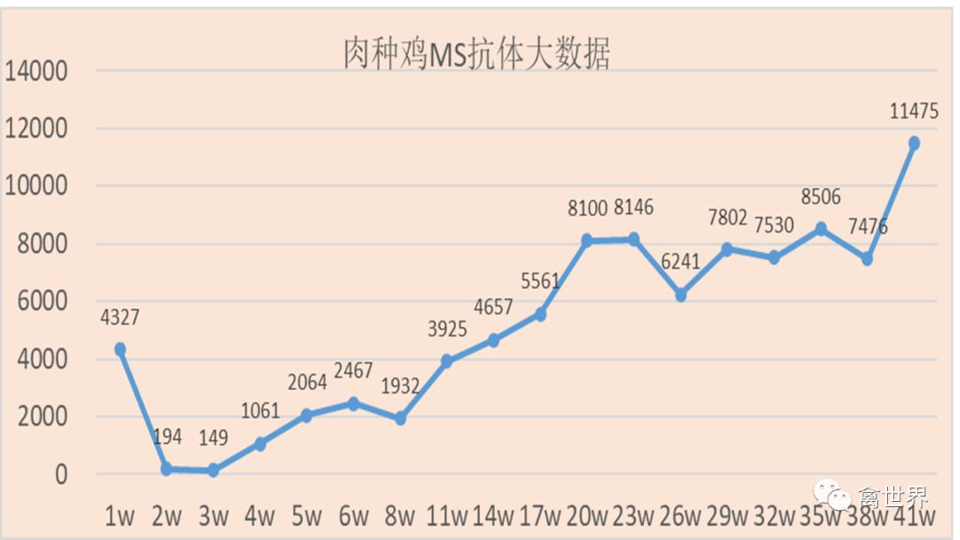 大数据｜2019年-2022年4月我国鸡滑液囊支原体流行病学调查报告