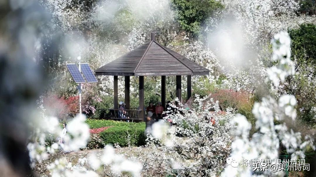 《将帅故里——果州诗词》2023年第九期（刘刚诗词辑）