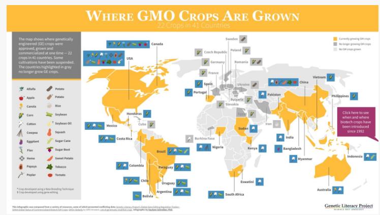 印度是怎样养活10亿人的,印度怎么养活18亿人