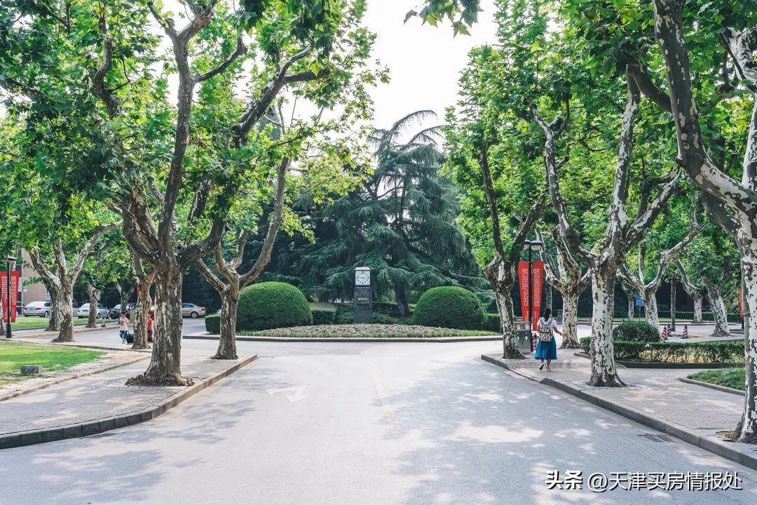 天津中德应用技术大学2020录取分数线,天津市九所重点高中录取分数