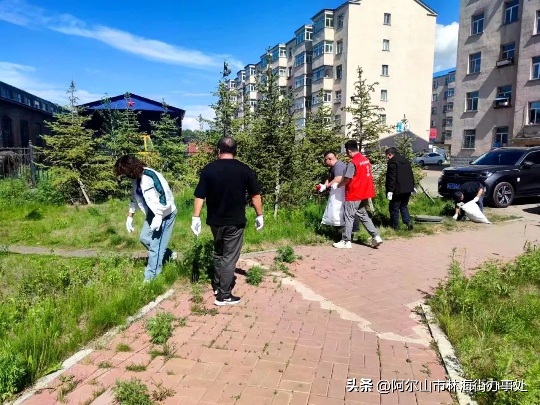 “*党**建引领聚合力助力创城我先行”阿尔山市林海街道兴林社区*党**支部开展全域互联共建环境卫生整治活动