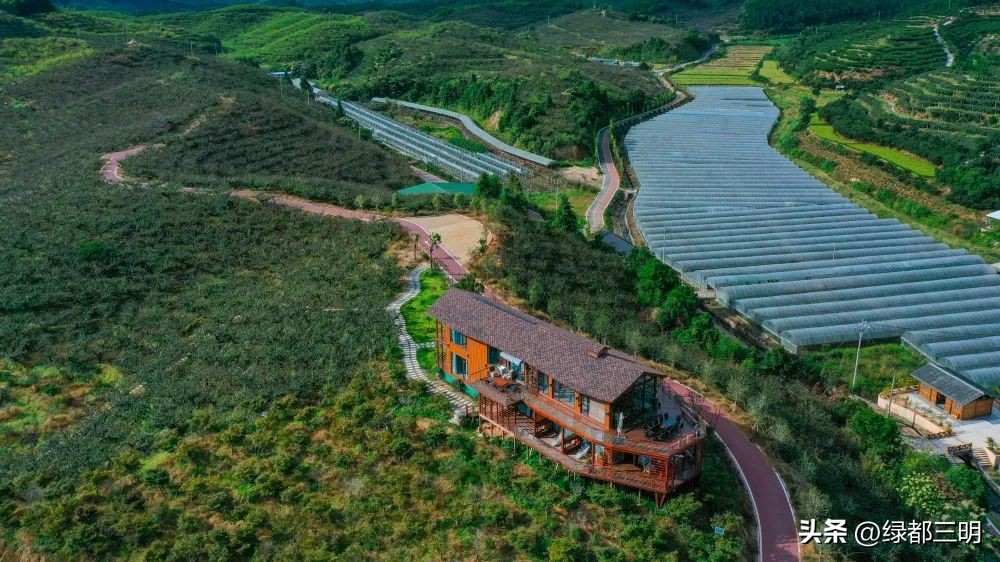 缤纷水果季即将开始！来建宁释放夏日多巴胺