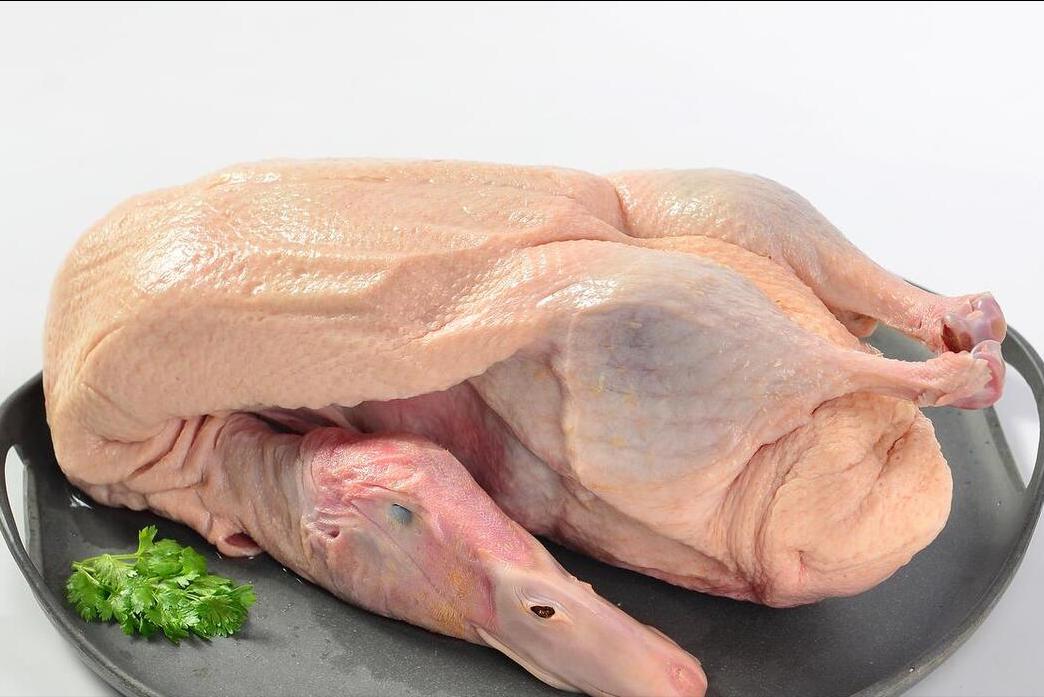 鸭子几元一斤,同样鸭绒为啥有的便宜有的贵