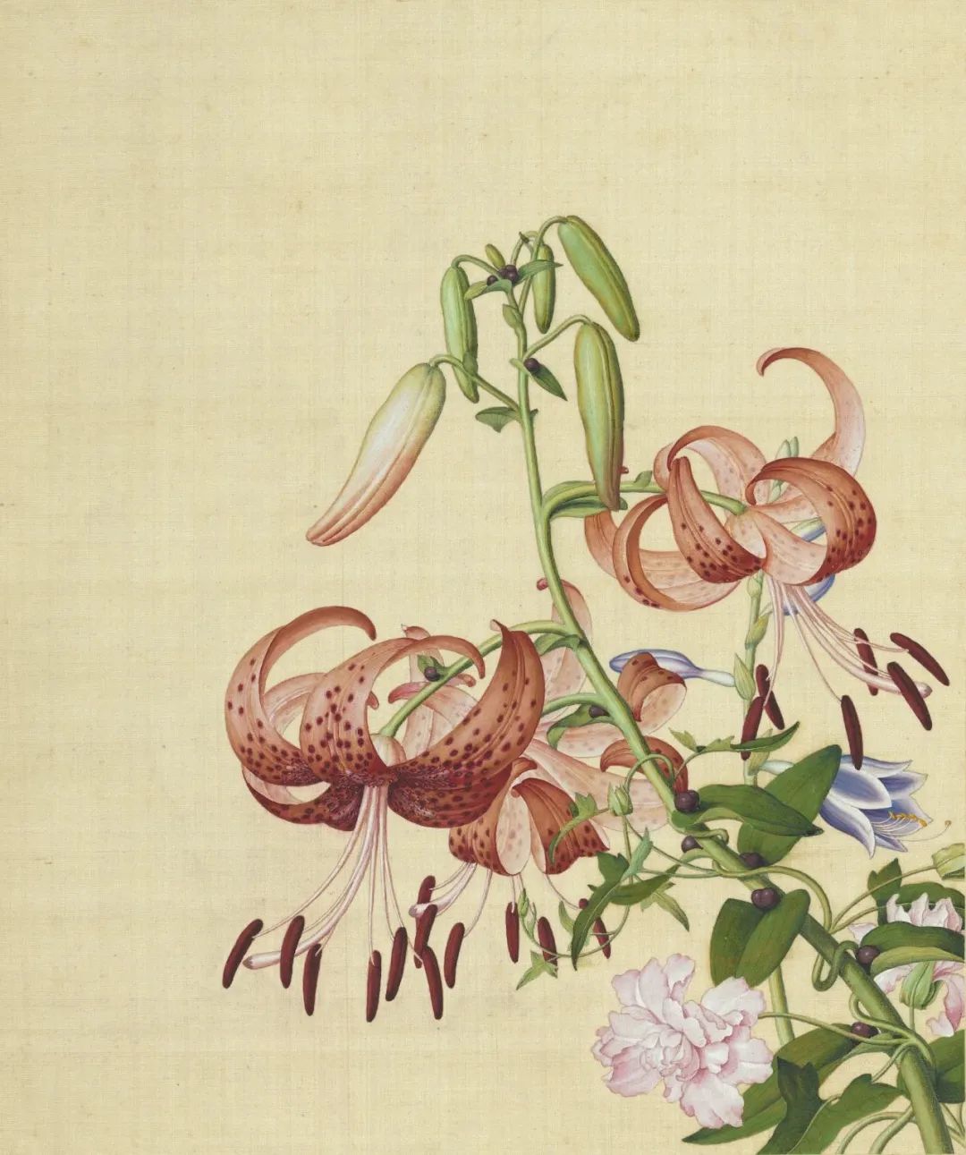 慕容看世界的视频,慕容看世界所有视频