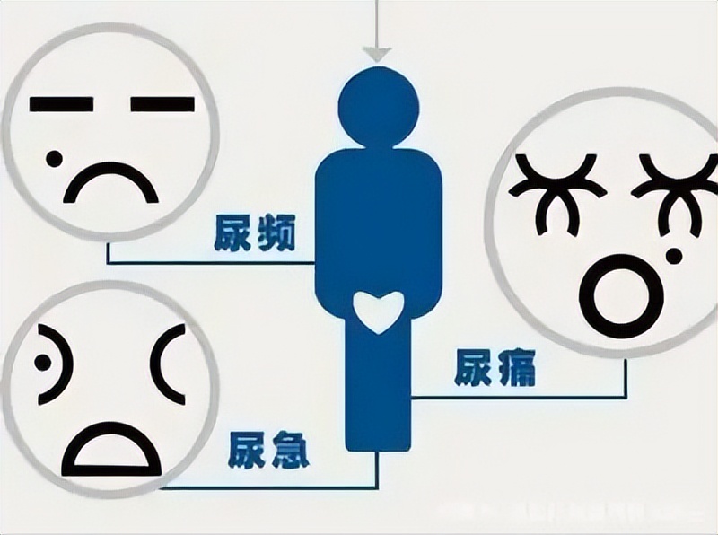 为什么女生啪啪到一半总想上厕所