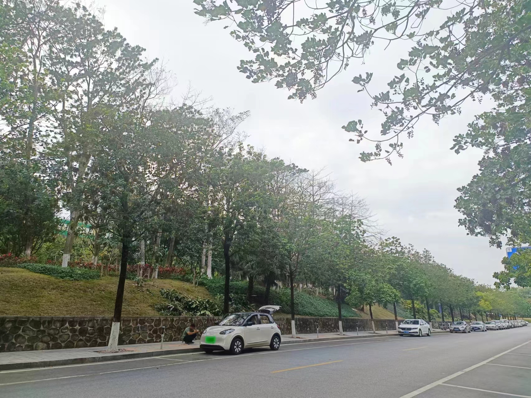 缤果预售价和实际价格,缤果有木有降价