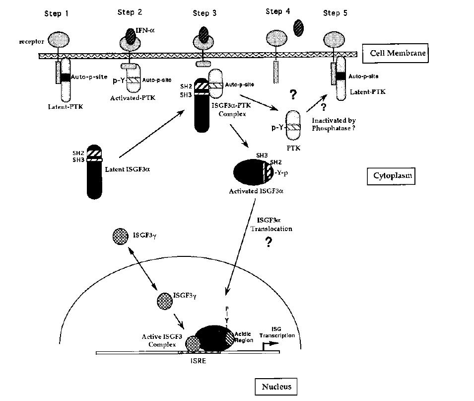 1930年到2023年华裔科学家,华人科学家最新研究成果