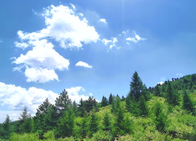 两次完成任务的3500流量包不翼而飞，原来是这么回事