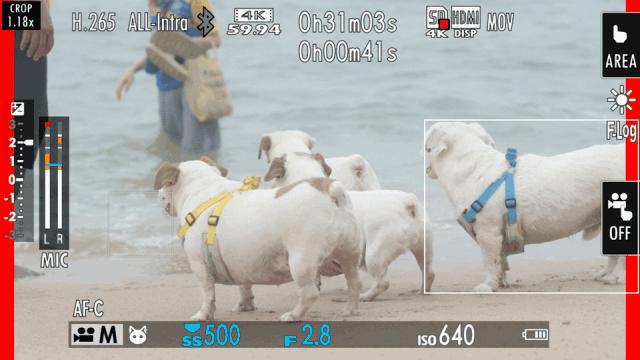 富士x-s20高感测评,富士x-s20几画幅