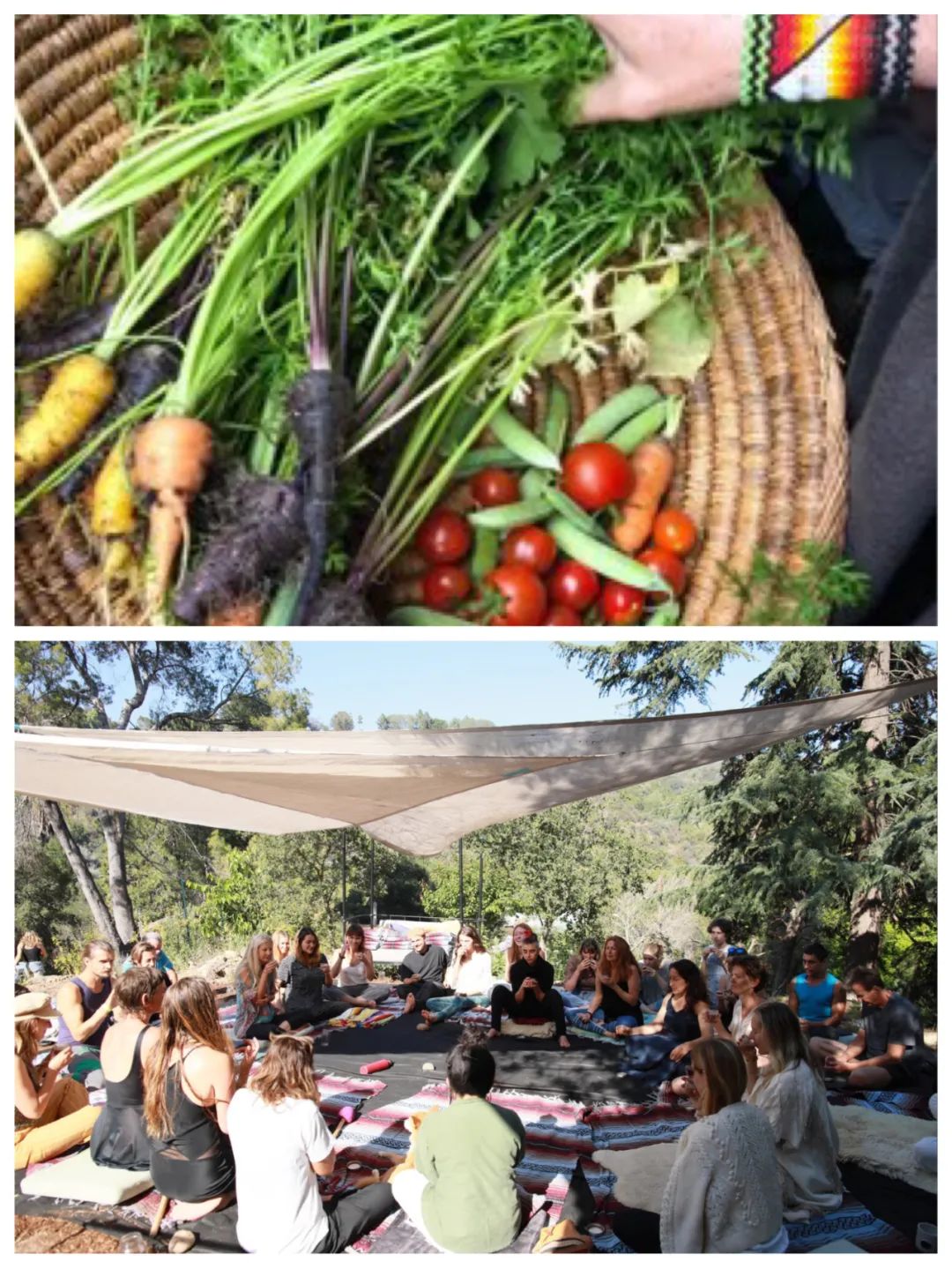 她凭一头叛逆红发惊艳时尚圈！鼻环戴Chanel耳环，却在巅峰退圈…